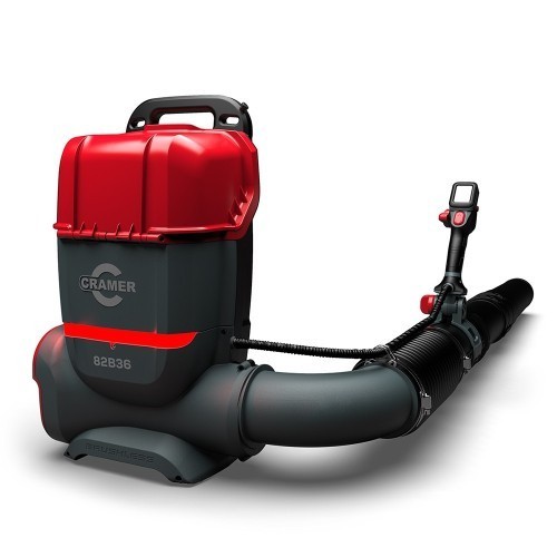 Soplador mochila 82V 82B36
