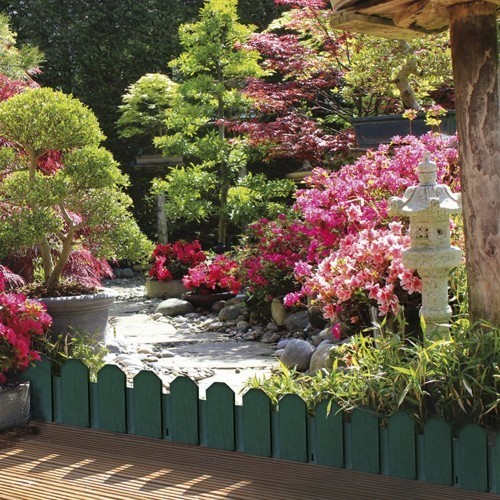 Bordura verde de jardín